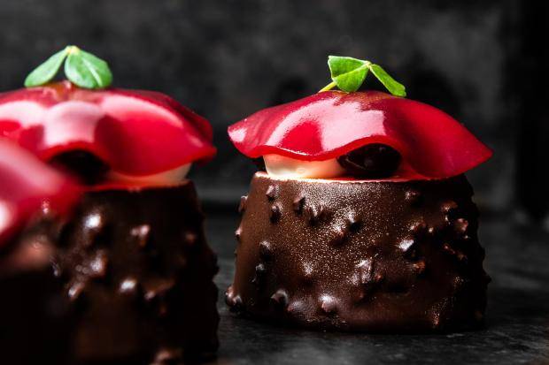 black forest