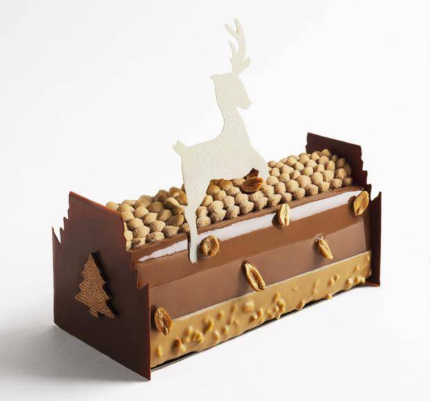 Buche noisettes