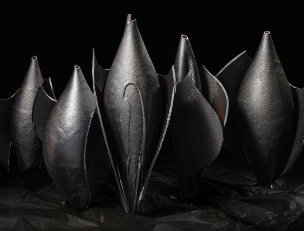 dark bats
