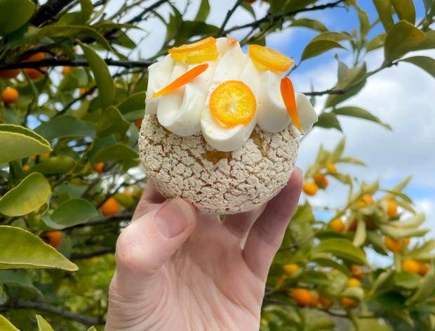 kumquat choux