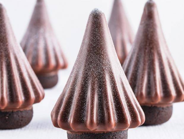 chocolate pine tree