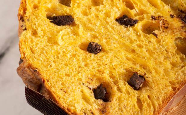 chocolate panettone