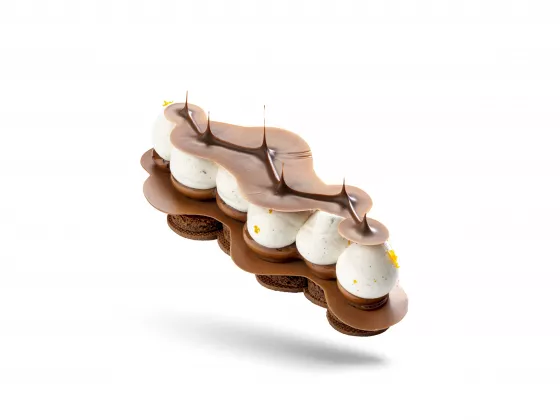 Авторский курс Франка Хааснута | chocolate-academy.com