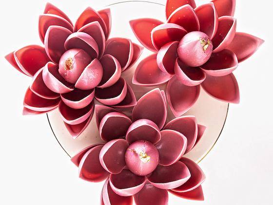  Flores de Lótus Chocolate Ruby da Chef Renata Arassiro